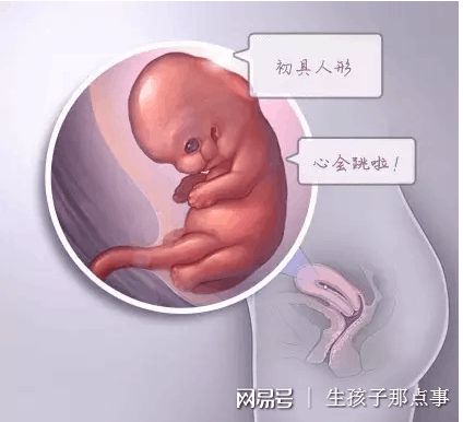 专业拉拉代怀助孕费用多少